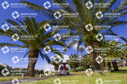 Sheraton Salobre Golf, Gran Canaria