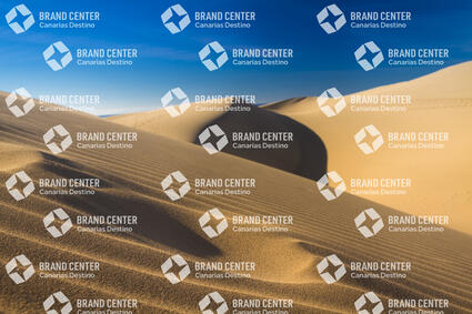 Maspalomas Dunes Special Natural Reserve