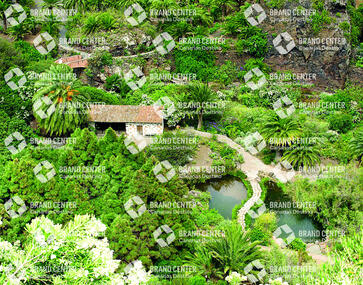 Canary garden