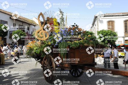 Pilgrimage Cart in Teror
