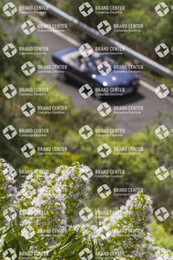 Route by car and white tajinaste