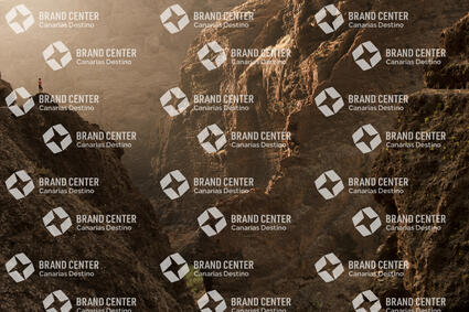The mask
