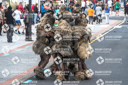 The Rams of Tigaday