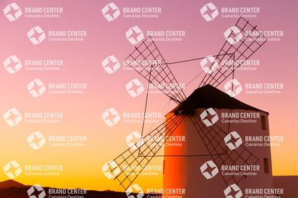 Windmill
