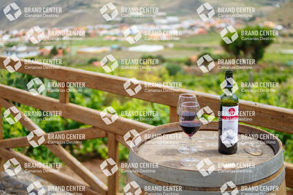 El Lomo Wineries