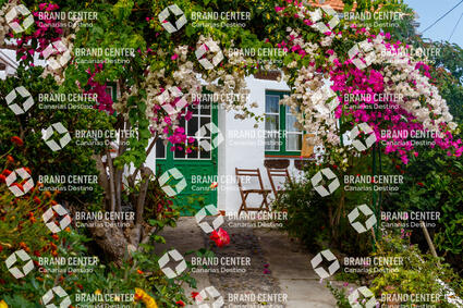 Casa con flores en Sabinosa