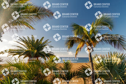 Grande Beach - Puerto del Carmen
