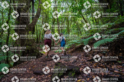 Garajonay National Park