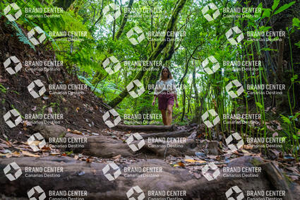 Garajonay National Park