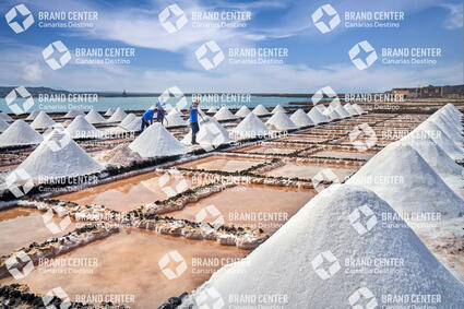 Salinas de Janubio - Producto Canario