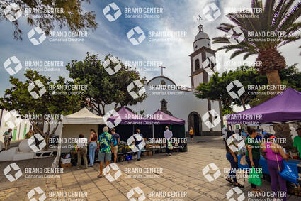 Reef Market