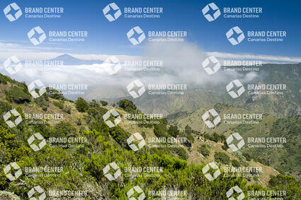 Vallehermoso circular trail