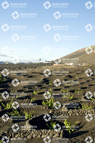 Sendero La Geria, Lanzarote