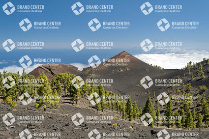 Path Routes of the Volcanoes, La Palma