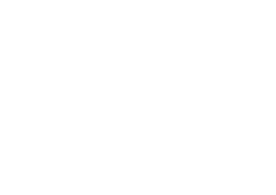 Isotipo Isla de La Palma Blanco Fondo gris PNG