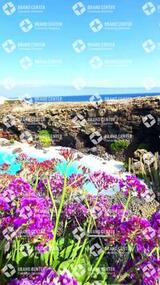 Jameos del Agua