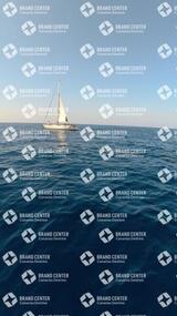 avistamiento de cetáceos desde el marino los gigantes
