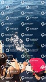 avistamiento de cetáceos desde el marino los gigantes
