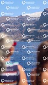 avistamiento de cetáceos desde el marino los gigantes