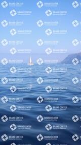 avistamiento de cetáceos desde el marino los gigantes