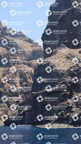 avistamiento de cetáceos desde el marino los gigantes