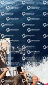 avistamiento de cetáceos desde el marino los gigantes