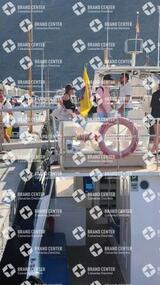 avistamiento de cetáceos desde el marino los gigantes