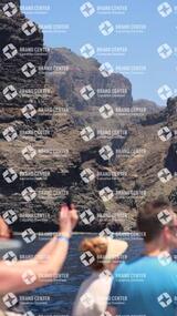 avistamiento de cetáceos desde el marino los gigantes