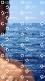 avistamiento de cetáceos desde el marino los gigantes