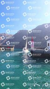 avistamiento de cetáceos desde el marino los gigantes