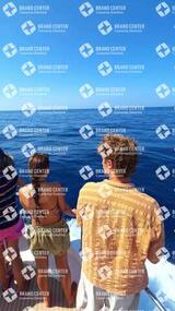 avistamiento de cetáceos desde el marino los gigantes