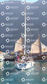 avistamiento de cetáceos desde el marino los gigantes