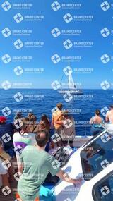 avistamiento de cetáceos desde el marino los gigantes