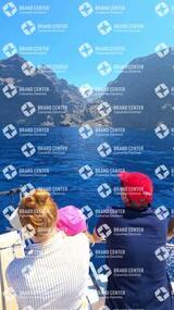 avistamiento de cetáceos desde el marino los gigantes