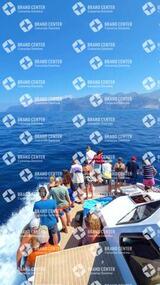 avistamiento de cetáceos desde el marino los gigantes