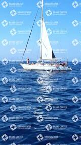 avistamiento de cetáceos desde el marino los gigantes