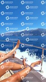avistamiento de cetáceos desde el marino los gigantes