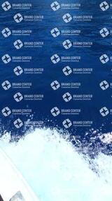 avistamiento de cetáceos desde el marino los gigantes