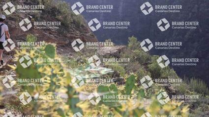 Barranco del Infierno
