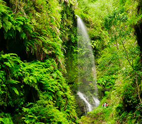 Cover image Natural spaces